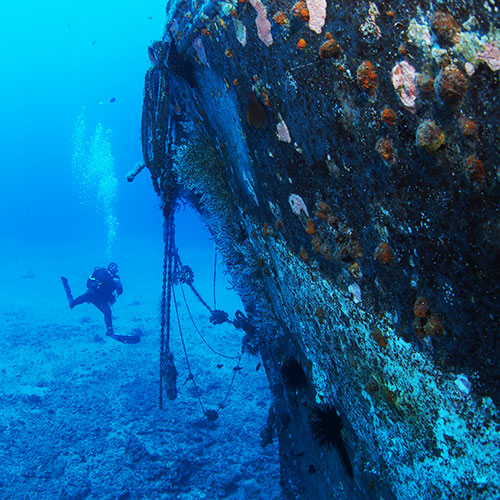 Lahaina hawaii wreck dive